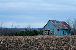 barn in muddy corn field with cloudy sky