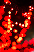 red fairy lights in tree with gleam light