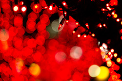 Christmas lights on branch with reddish colors