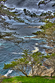 Californian coast on Pacific ocean in hdr, waves and trees