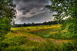 countryside HDR with fields and path under trees during stormy weather