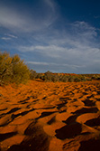 sable rouge en Arizona dans désert au coucher du soleil