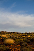 coucher de soleil sur désert en Arizona, avec buissons et ciel nuageux