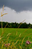 orage avec nuages gris au dessus des champs