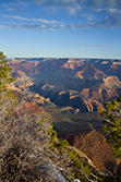 Grand Canyon view with horizon, blue sky and bushes on foreground