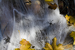 toiles d'araignée pour Halloween avec araignées en plastique