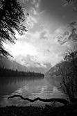 Kinney Lake along the Berg Trail, black and white photo