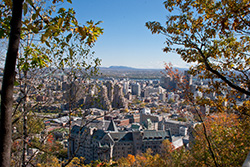 Montreal city view from Mount Royal with Autumn leaves