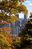 Montreal downtown view from Mount Royal with Autumn leaves