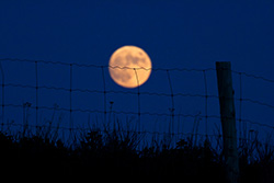 pleine Lune derrière une clôture avec un poteau