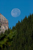 Moon above mountains and forest in Canadian Rockies