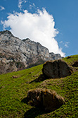 swiss mountains with meadow and rocks