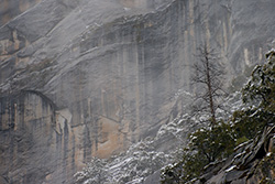 falaise dans les montagnes avec un arbre sur le rebord, au parc Yosemite