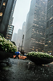 new_york_rain_001