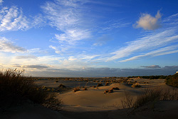 Espiguette beach in South of France, with sand dunes and blue sky