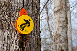 snowshoeing sign on tree trunk in Winter