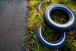 stalked tires on grass and asphalt