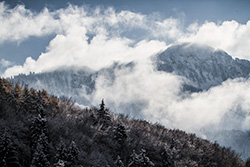 mountains landscape in winter, mist and clouds above forest